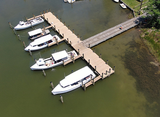 Davis, Bowen & Friedel, Inc. coastal project St. Michaels Watermens Dock